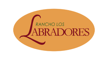 Mostrar eventos presentados por Rancho Los Labradores Imagen la organización Rancho Los Labradores