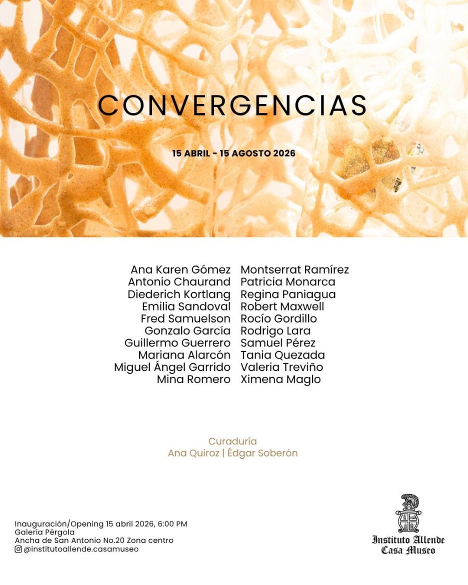 Imagen de CONVERGENCIAS