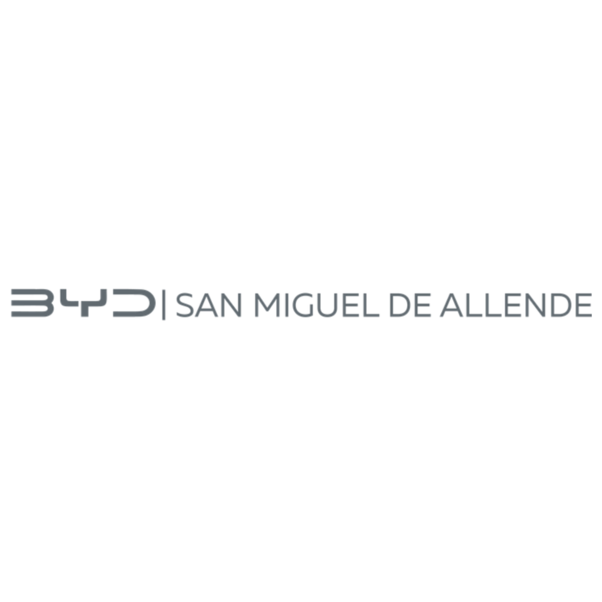 Imagen de BYD San Miguel de Allende