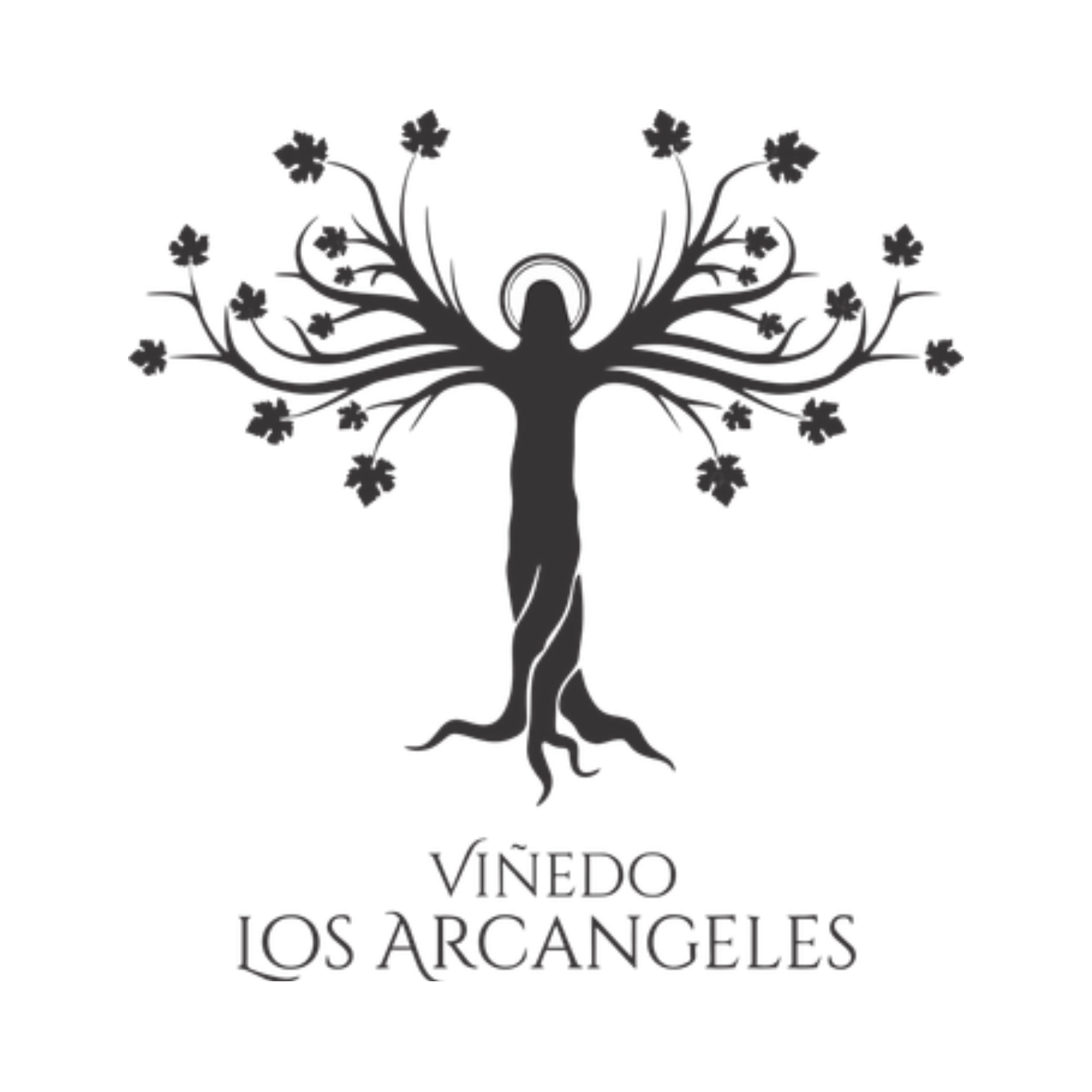 Viñedo Los Arcángeles